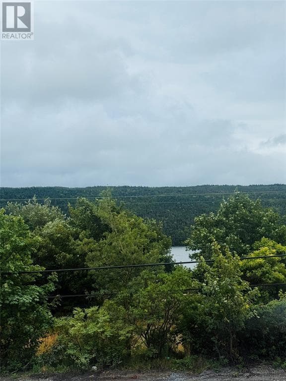 1253 Main Road thumbnail 2