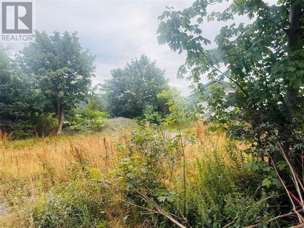 1253 Main Road thumbnail 3