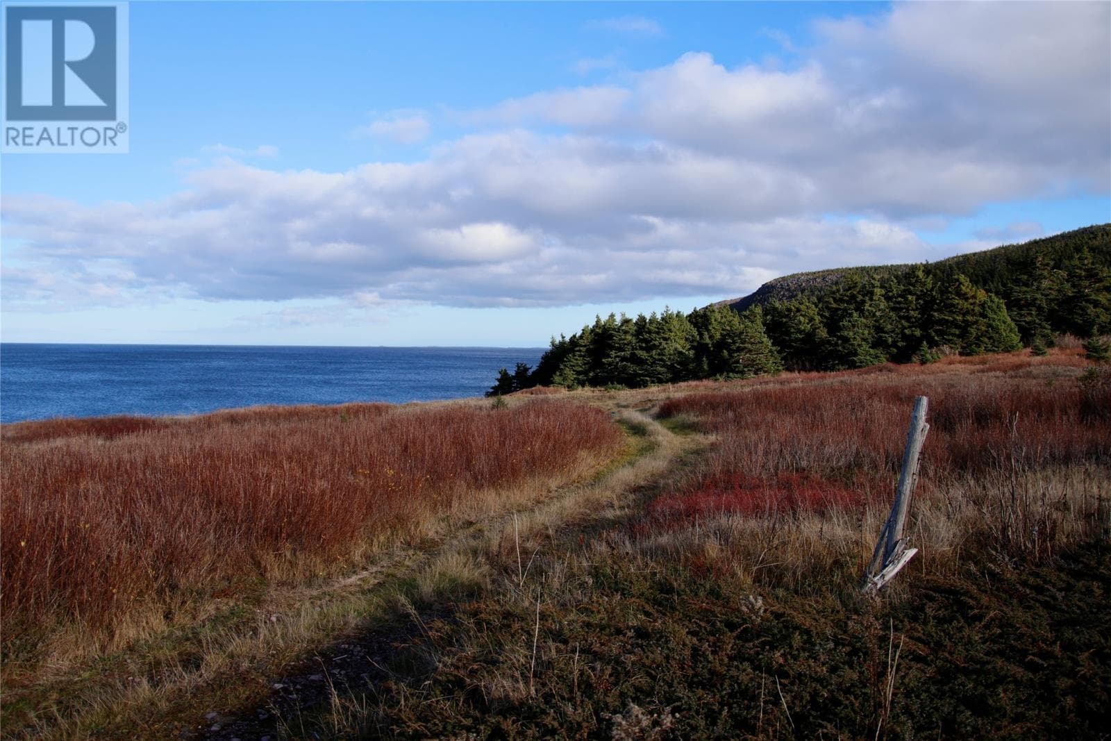 0 Broad Cove thumbnail 2