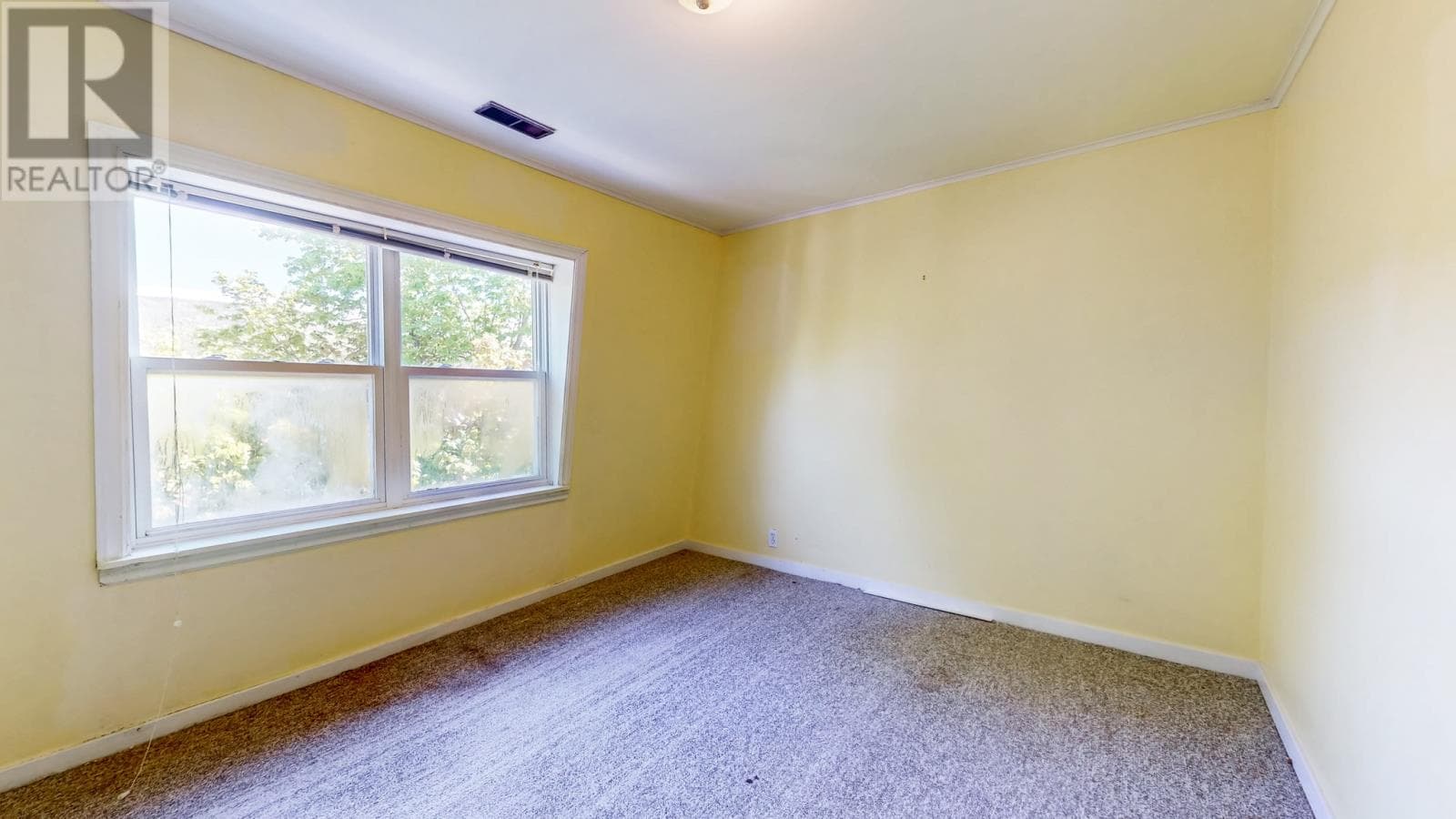 175 Topsail Road thumbnail 20