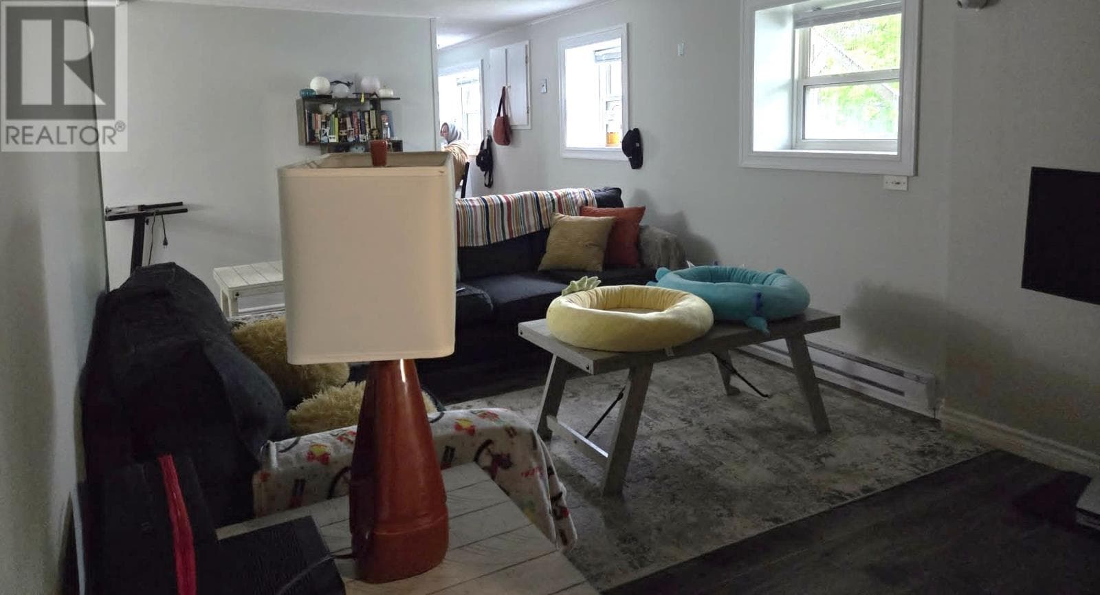17 Carty Place thumbnail 7